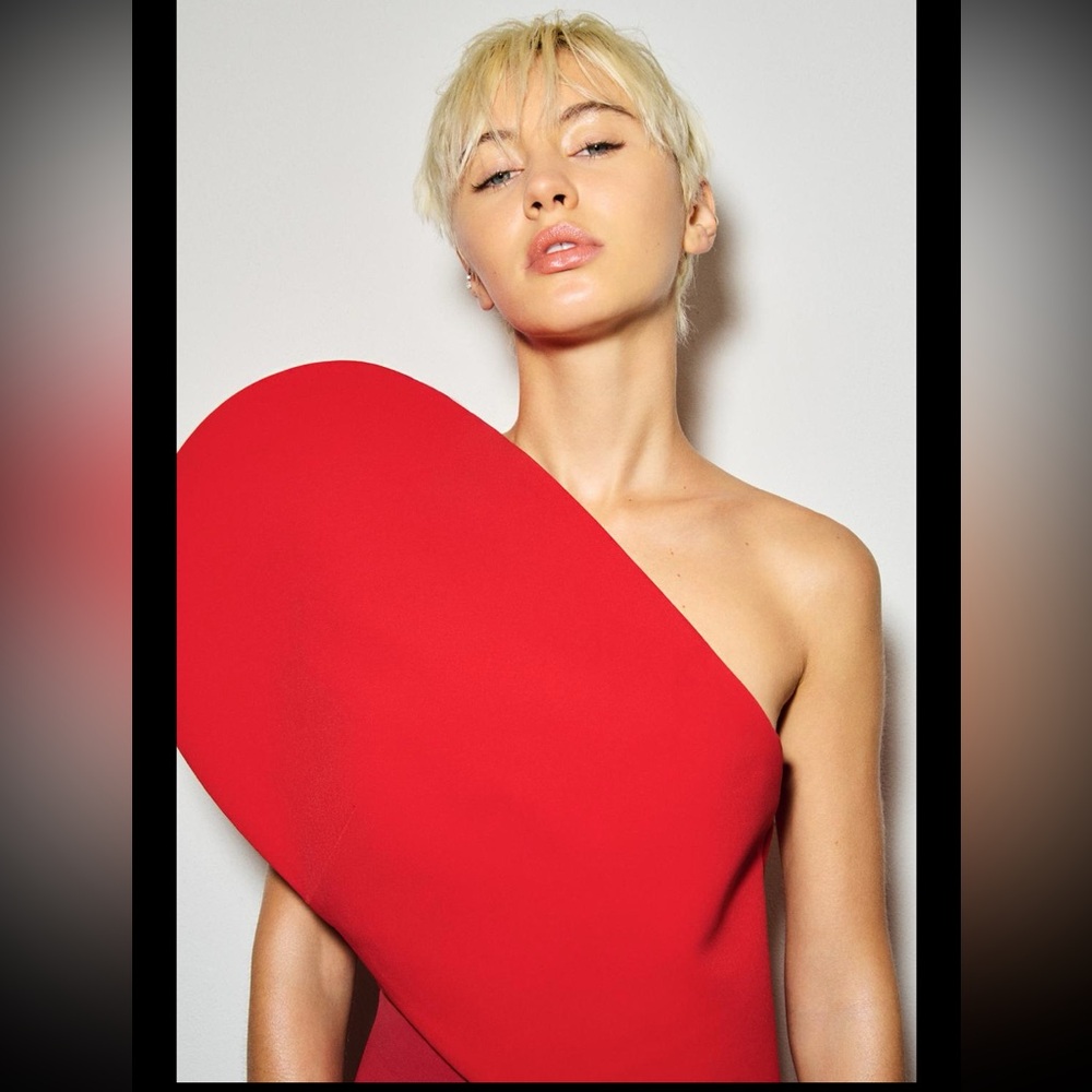 Zara asymmetic heart top limited edition, sweetheart neckline - Picture 8 of 9